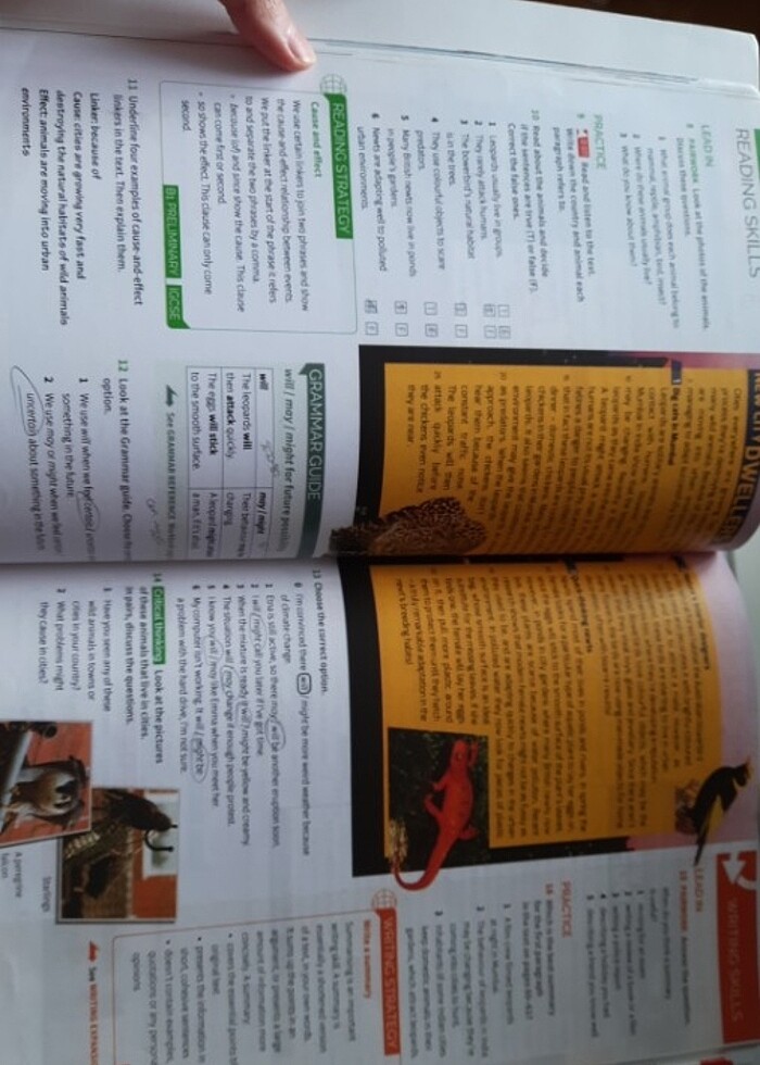 Cambridge talent 2 student's book workbook - Görsel 3