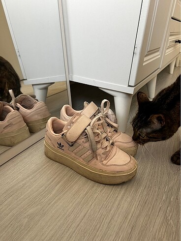 Adidas adidas sneakers