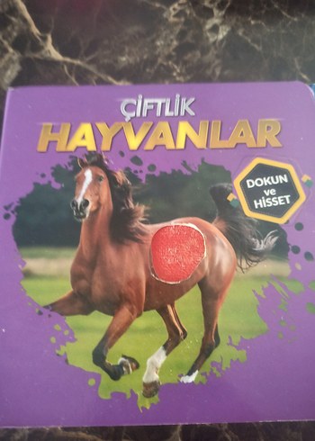 Dokun ve Hisset Çiftlik ve Evcil Hayvanlar Kitapları