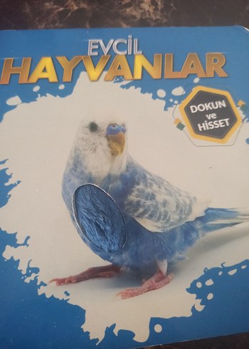 Beden Dokun ve Hisset Çiftlik ve Evcil Hayvanlar Kitapları