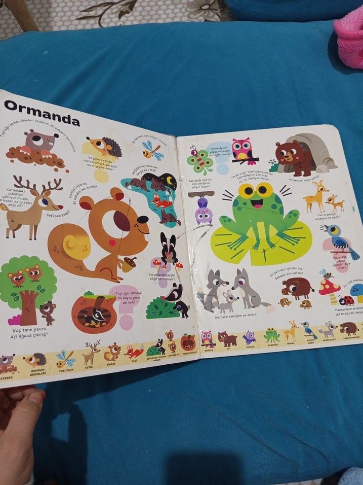 büyük sorular kitabım - Görsel 5
