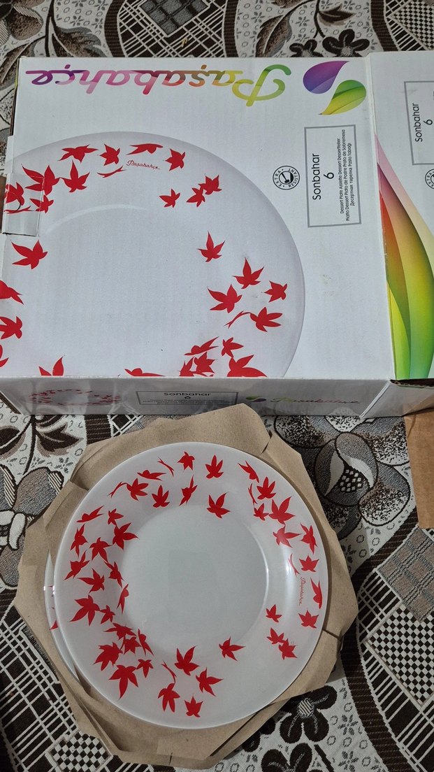 Kırmızı Yaprak Desenli Gri Yemek Tabağı - Görsel 2