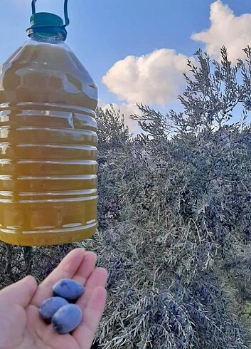 diğer Beden yeşil Renk Doğal kokusuz tadı hafif soğuk sıkım ZEYTİNYAĞI