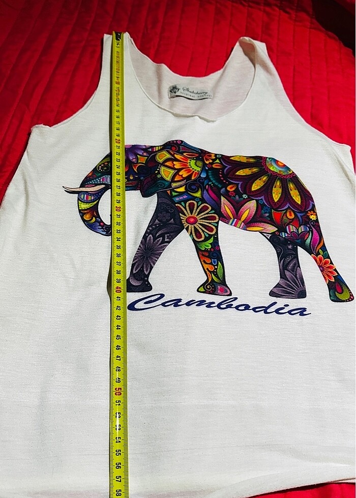 Filli tşört - Görsel 4