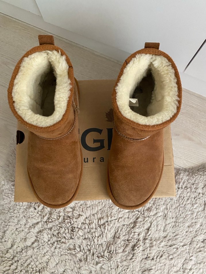 Pegia Bot - Görsel 2
