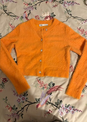 zara s