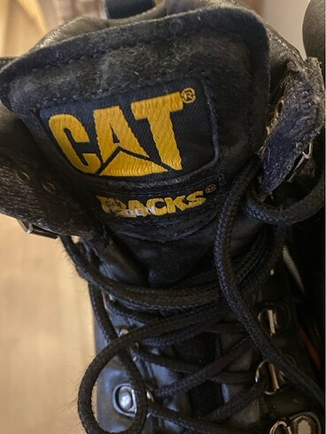 Cat Cattt