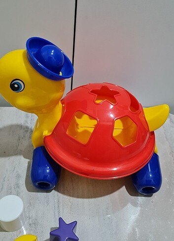 Diğer Kaplumbağa Bultak Oyunu