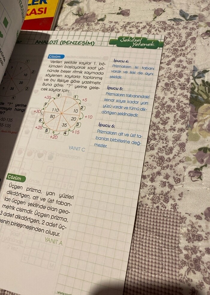 Uygun Üst Düzey Soru Modelleri 3.sınıf - Görsel 3