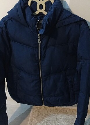 Kadın pull end bear mont