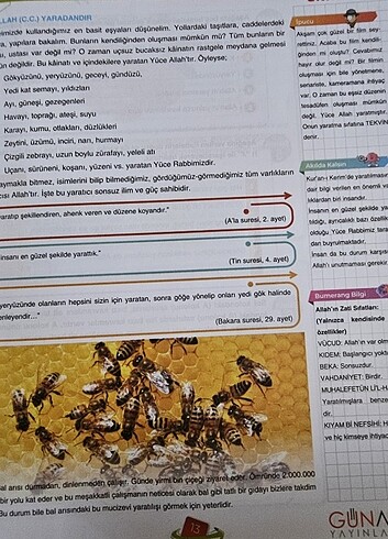 Din Kültürü ve Ahlak Bilgisi Kitabi 5.sınıf - Görsel 6