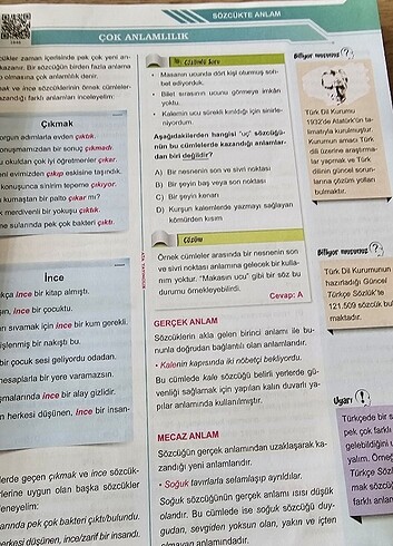 5.Sınıf Türkçe Soru Bankası - Görsel 6