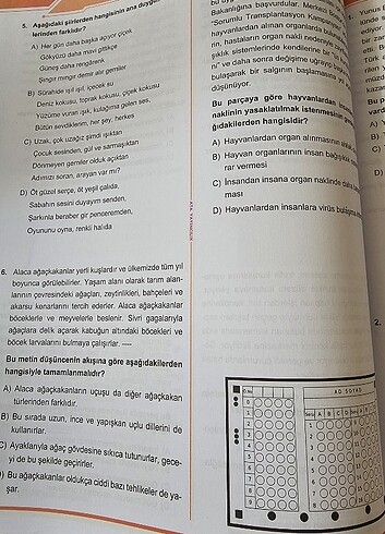 5.Sınıf Türkçe Soru Bankası - Görsel 8