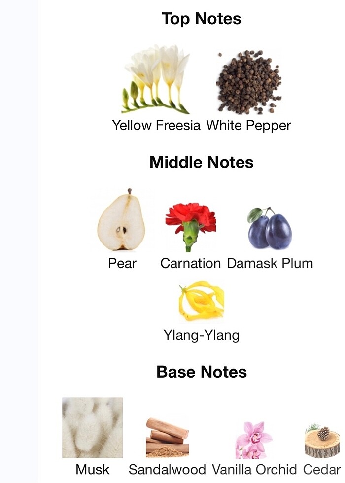 AVON PERCEIVE - EAU DE PARFUM - Görsel 3