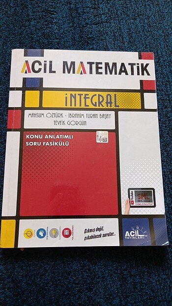 Acil matematik integral 