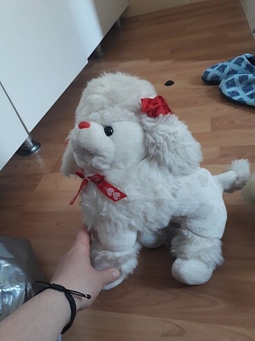 Diğer Oyuncak köpek 