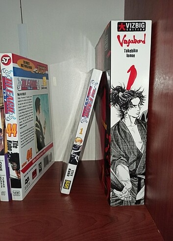 Bleach1 Vagabond1 