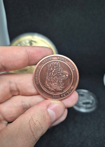 BRONZ GÖKBÖRÜ - METEHAN HATIRA PARA - Görsel 3
