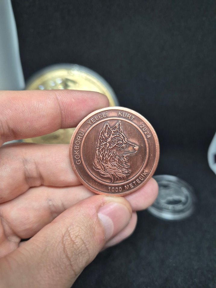 BRONZ GÖKBÖRÜ - METEHAN HATIRA PARA - Görsel 3