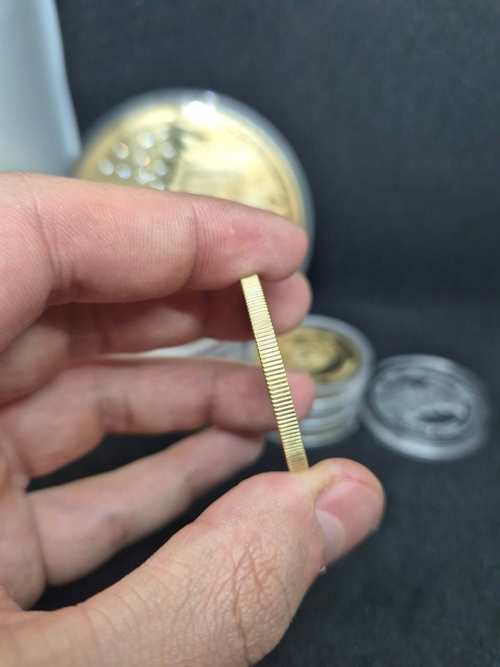 GÖKBÖRÜ - METEHAN HATIRA PARA - Görsel 3