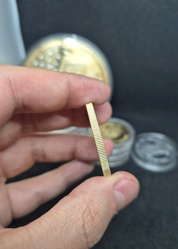 GÖKBÖRÜ - METEHAN HATIRA PARA - Görsel 3