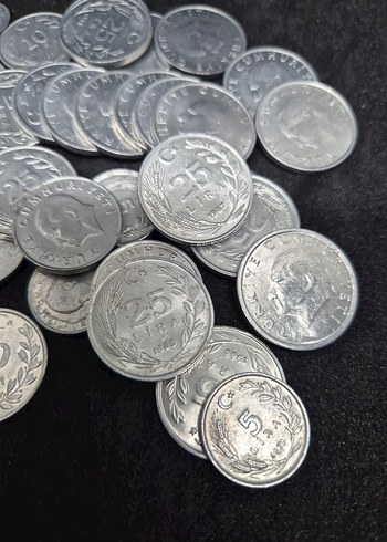 TC Madeni Paralar Alüminyum Paralar - Görsel 2