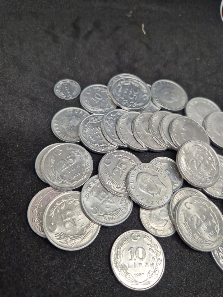 TC Madeni Paralar Alüminyum Paralar - Görsel 3