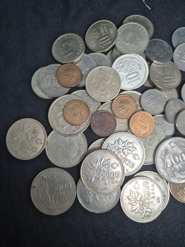 Gri Tonlarında Metal Para Koleksiyonu - Görsel 2