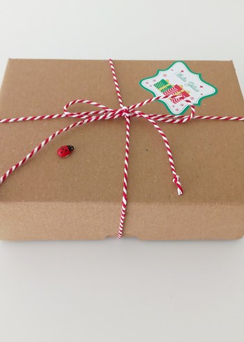 YENİYIL HEDİYESİ DUŞ SETİ - Görsel 4