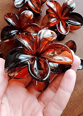 sonbahar kış lotus aloha toka kahverengi hibiskus