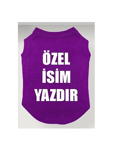 Dostumuzun ismini sırtına yazdır