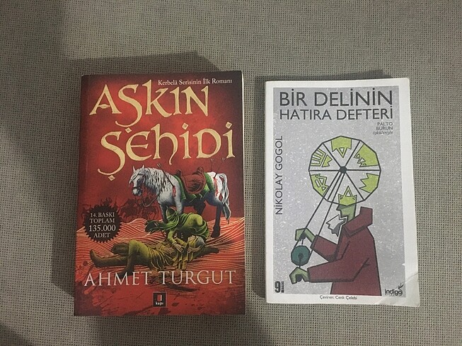 Aşkın şehidi bir delinin hatıra defteri