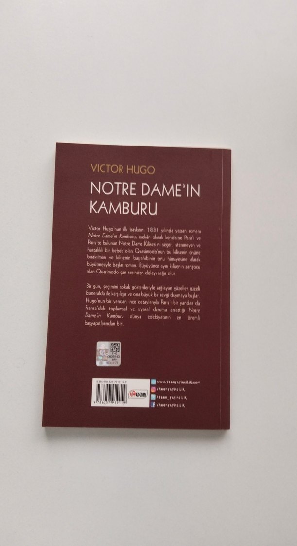 Victor Hugo - Notre Dame'in Kamburu - Görsel 2