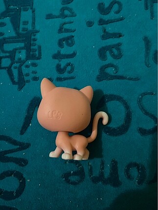  Kedi Miniş