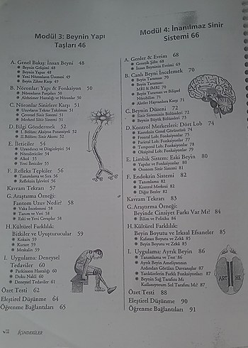 Psikoloji'ye Giriş (Rod Plotnik) - Görsel 4