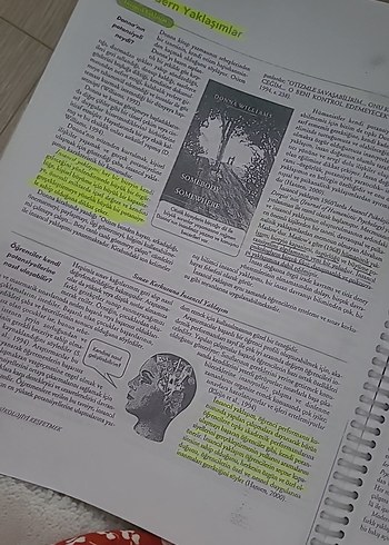 Psikoloji'ye Giriş (Rod Plotnik) - Görsel 8