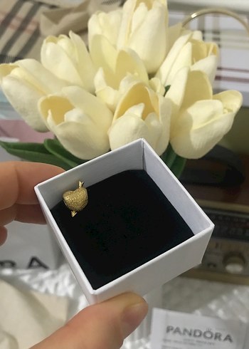 Altın Renkli Pandora Kalp Figürlü Charm - Görsel 19