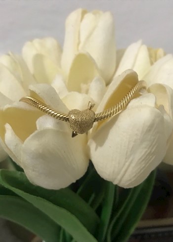 Altın Renkli Pandora Kalp Figürlü Charm - Görsel 20