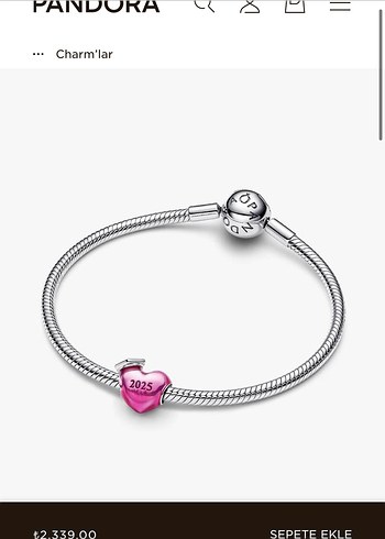 Orjinal 2025 Pembe Püsküllü Kalp Charm - Görsel 5