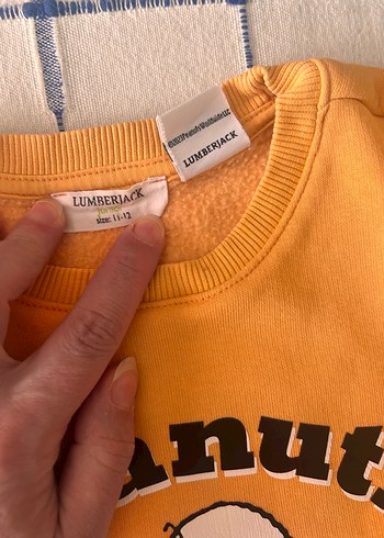 Lumberjack eşofman takımı 11/12 yaş - Görsel 3