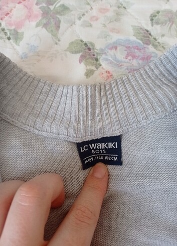 LC Waikiki Erkek çocuk kapşonlu sweatshirt hırka 