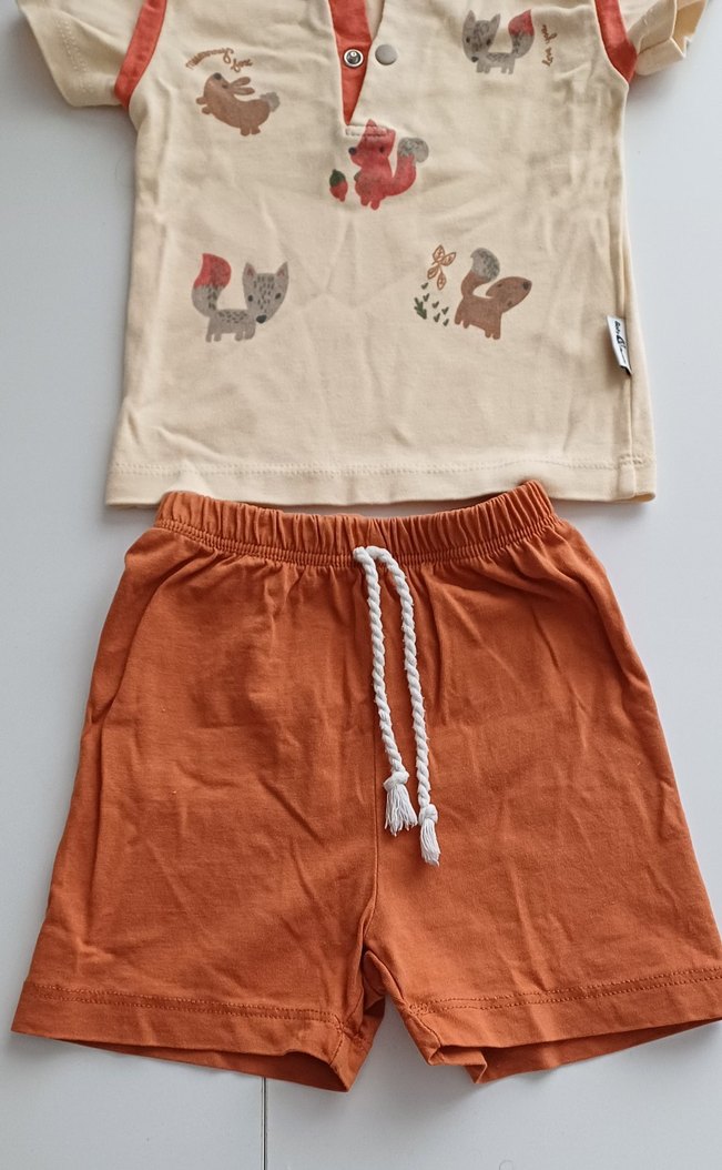 Bebek Erkek Kısa Kollu pamuklu Takım - Görsel 2