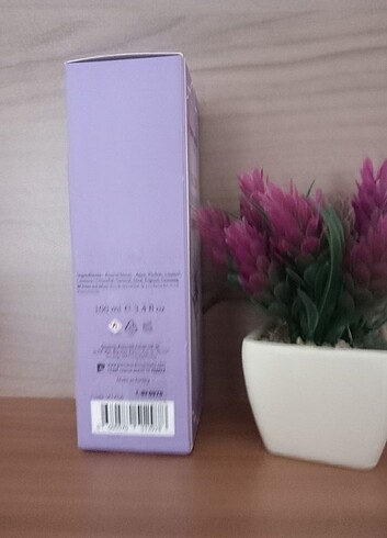 Pierre  Cardin  Lavanta  Kolonyasi  - Görsel 2