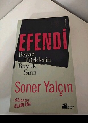 Efendi Roman kitap