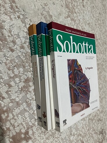 soborta anatomi atlası set