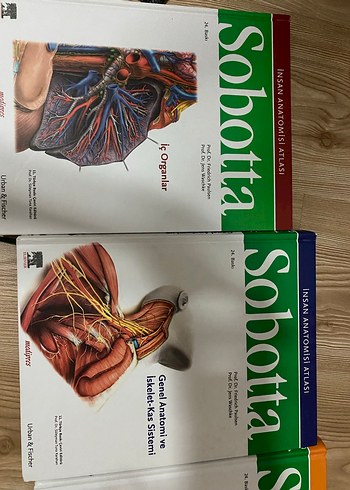 Sobotta anatomi atlası - Görsel 6