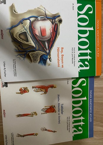 Sobotta anatomi atlası - Görsel 7