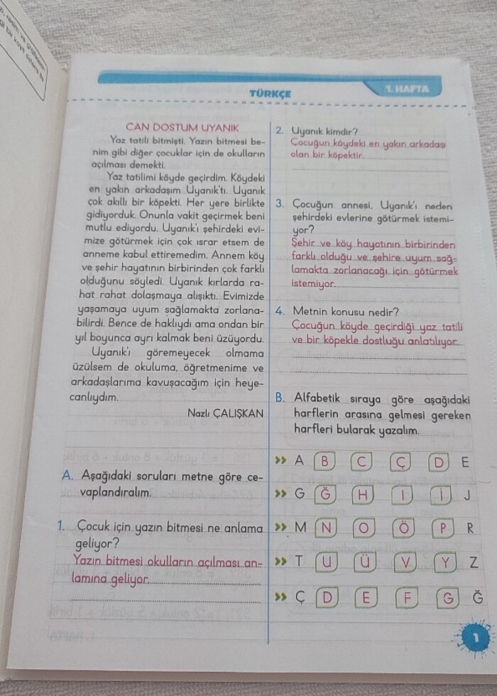 3.sınıf hafta sonu ödev et. Cevapları  - Görsel 3