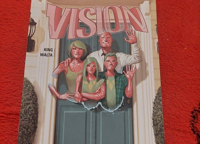 Vision 