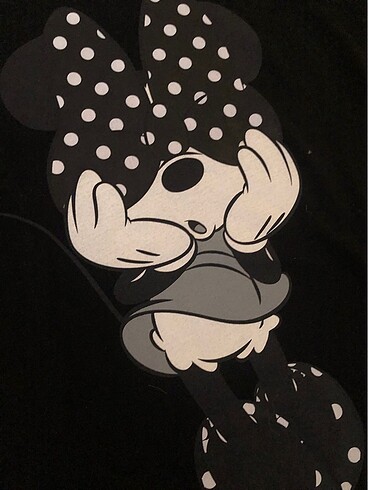 Walt Disney World Disney